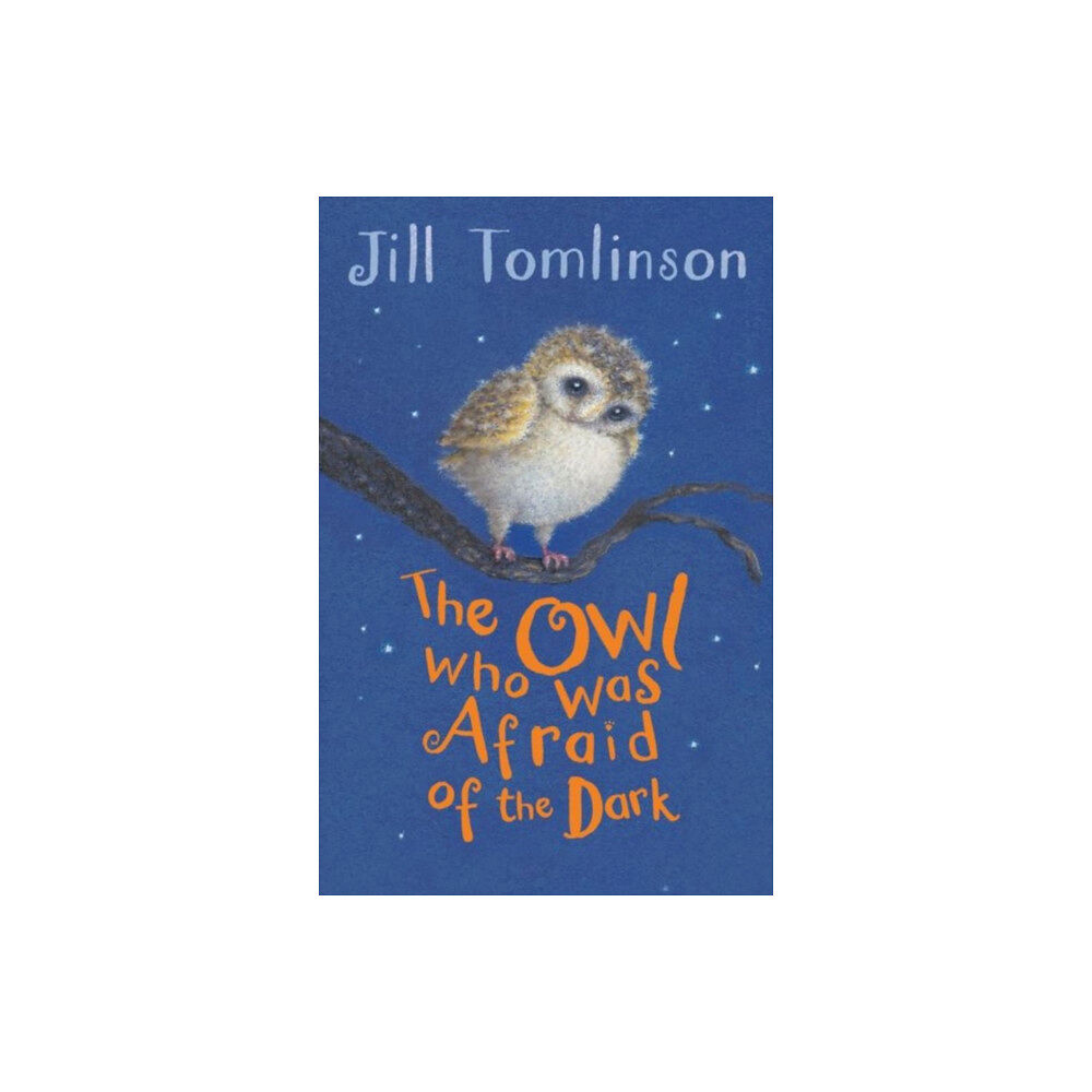 HarperCollins Publishers The Owl Who Was Afraid of the Dark (häftad, eng)