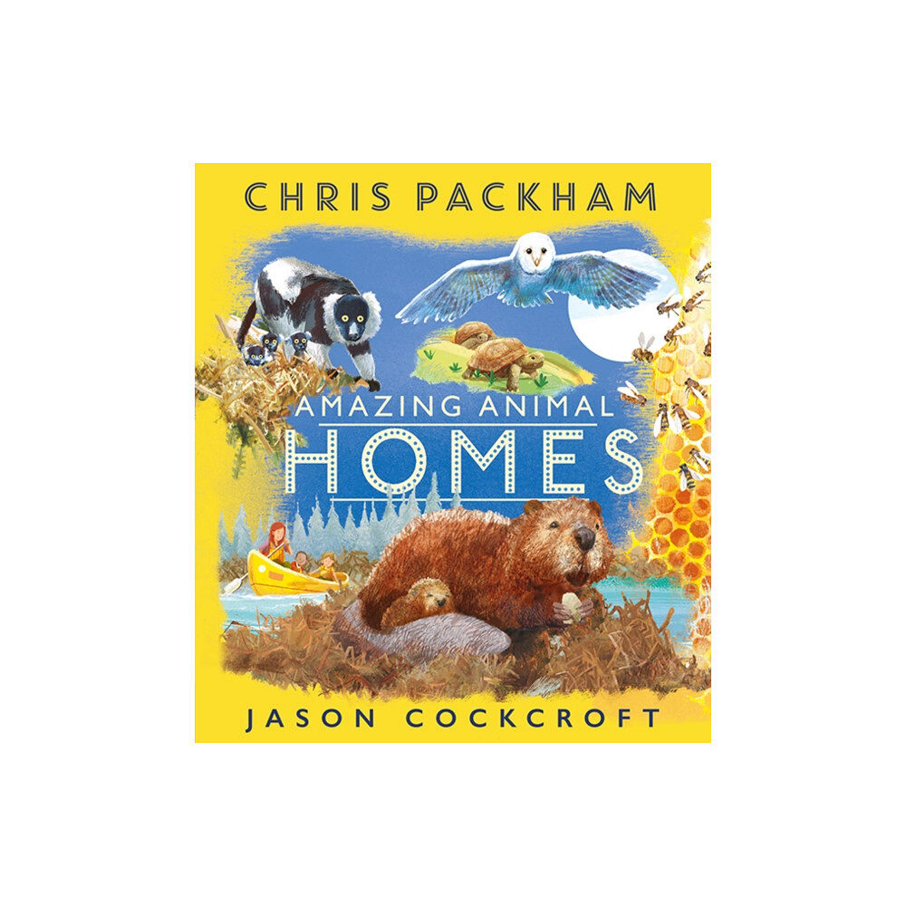 HarperCollins Publishers Amazing Animal Homes (häftad, eng)
