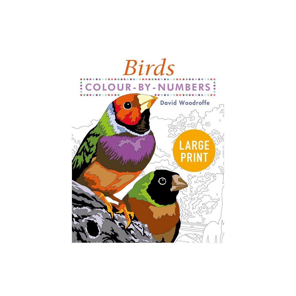 Arcturus publishing ltd Large Print Colour by Numbers Birds (häftad, eng)