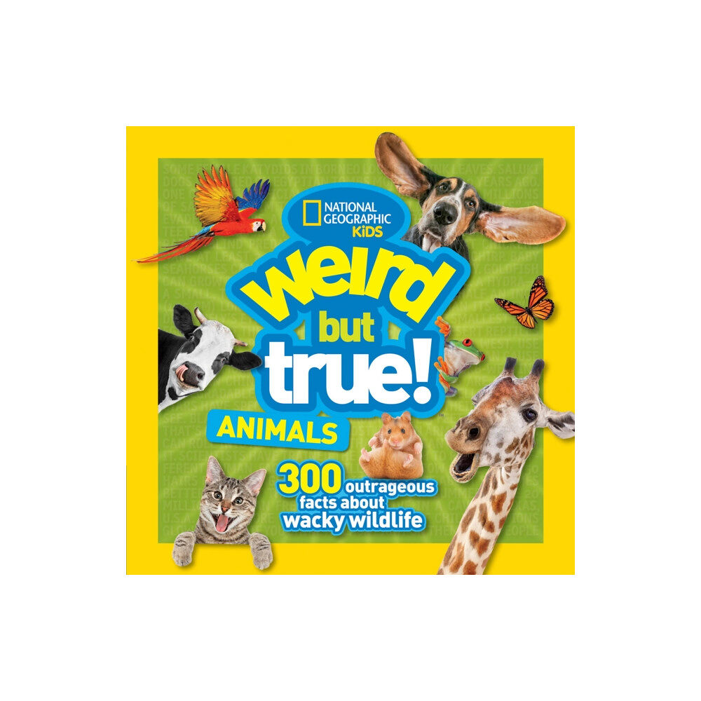 National Geographic Kids Weird But True Animals (häftad, eng)