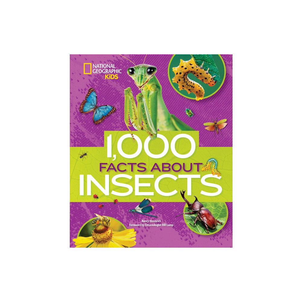 National Geographic Kids 1000 Facts About Insects (inbunden, eng)