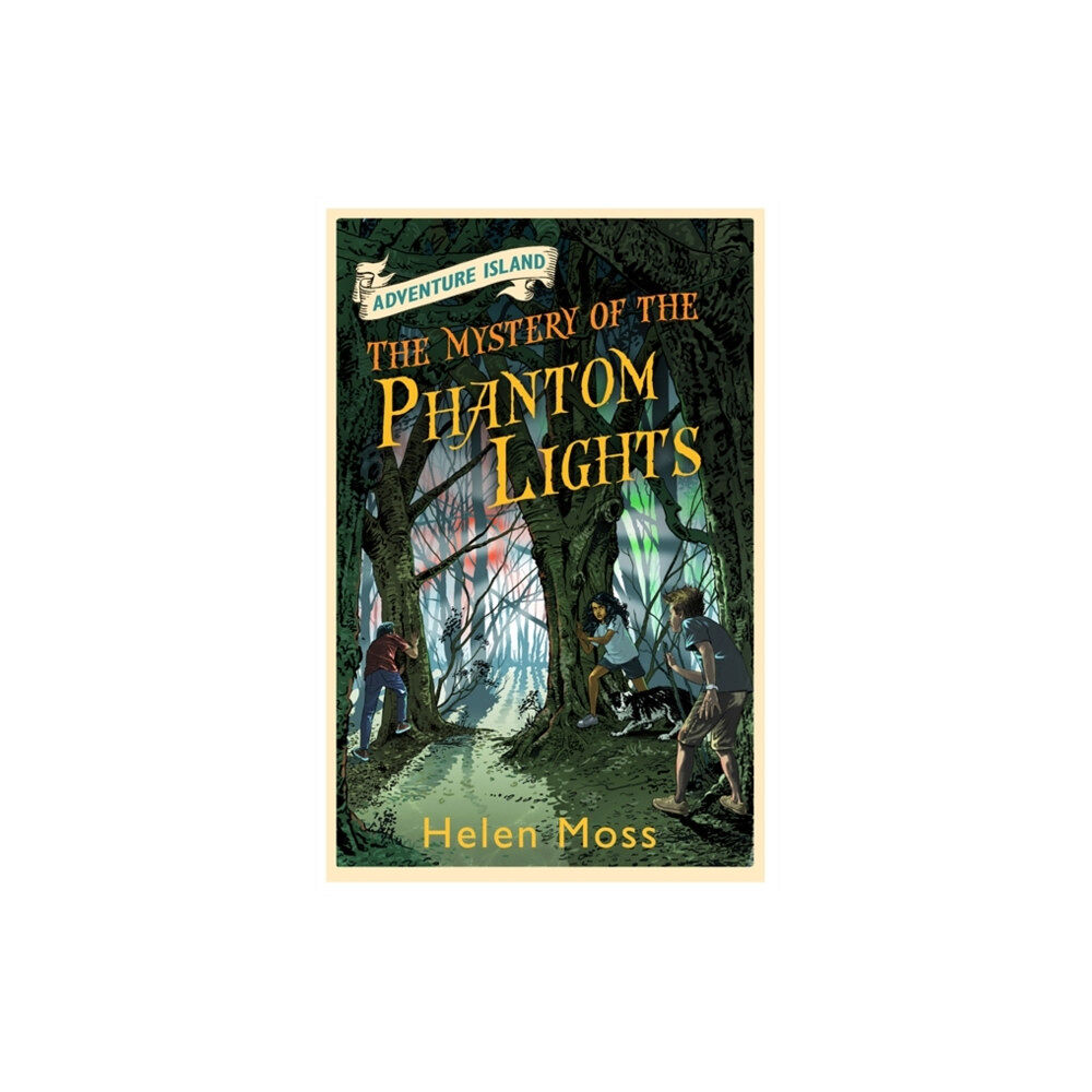 Hachette Children's Group Adventure Island: The Mystery of the Phantom Lights (häftad, eng)