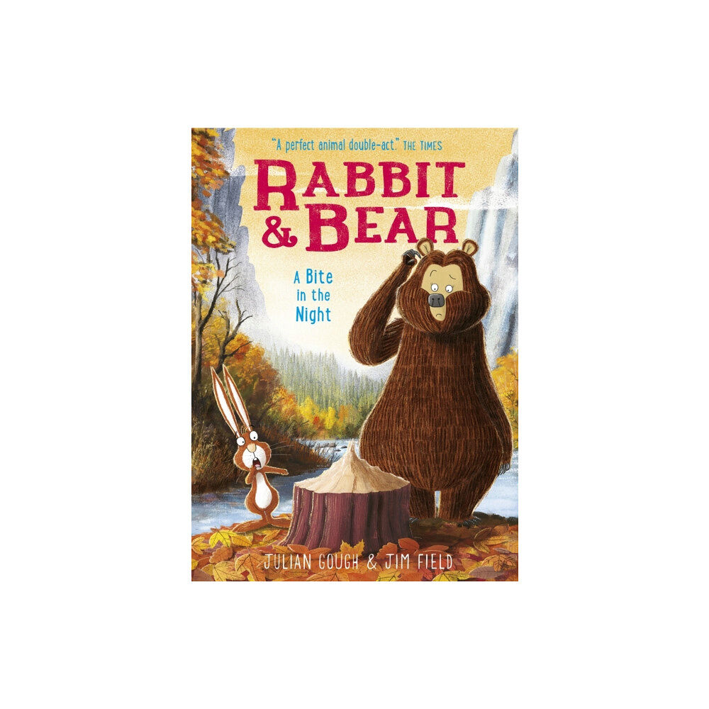 Hachette Children's Group Rabbit and Bear: A Bite in the Night (häftad, eng)