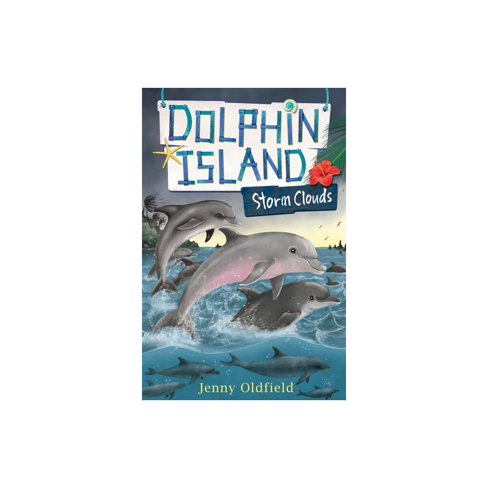 Hachette Children's Group Dolphin Island: Storm Clouds (häftad, eng)