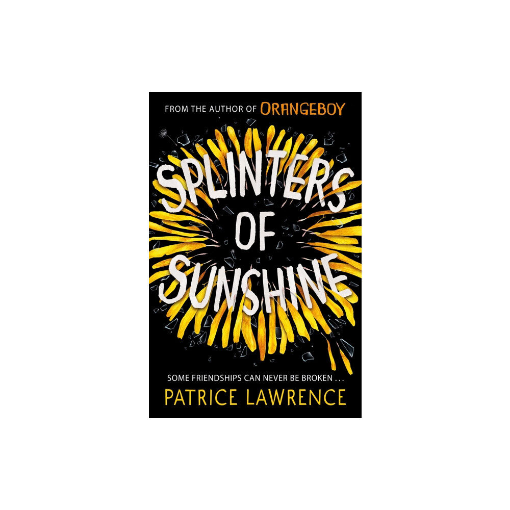 Hachette Children's Group Splinters of Sunshine (häftad, eng)