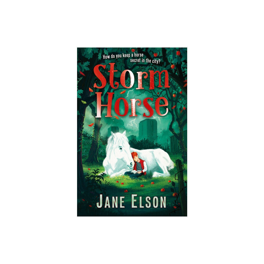 Hachette Children's Group Storm Horse (häftad, eng)