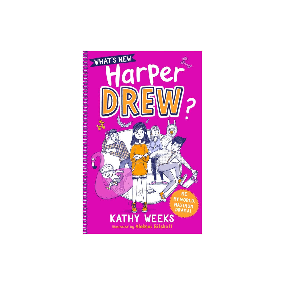 Hachette Children's Group What's New, Harper Drew? (häftad, eng)