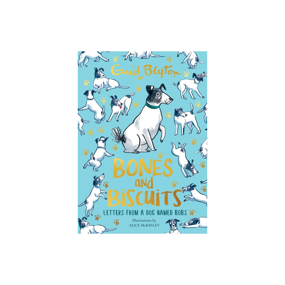 Hachette Children's Group Bones and Biscuits (häftad, eng)