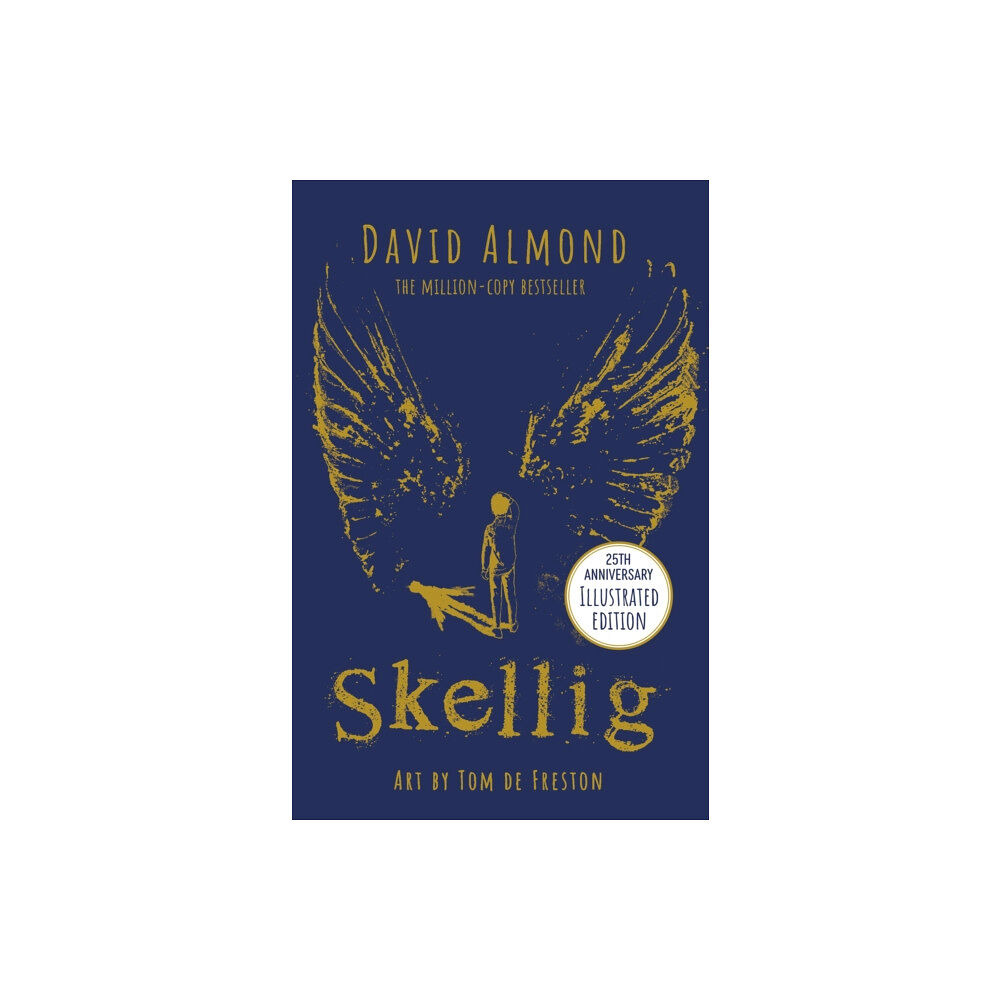 Hachette Children's Group Skellig: the 25th anniversary illustrated edition (häftad, eng)