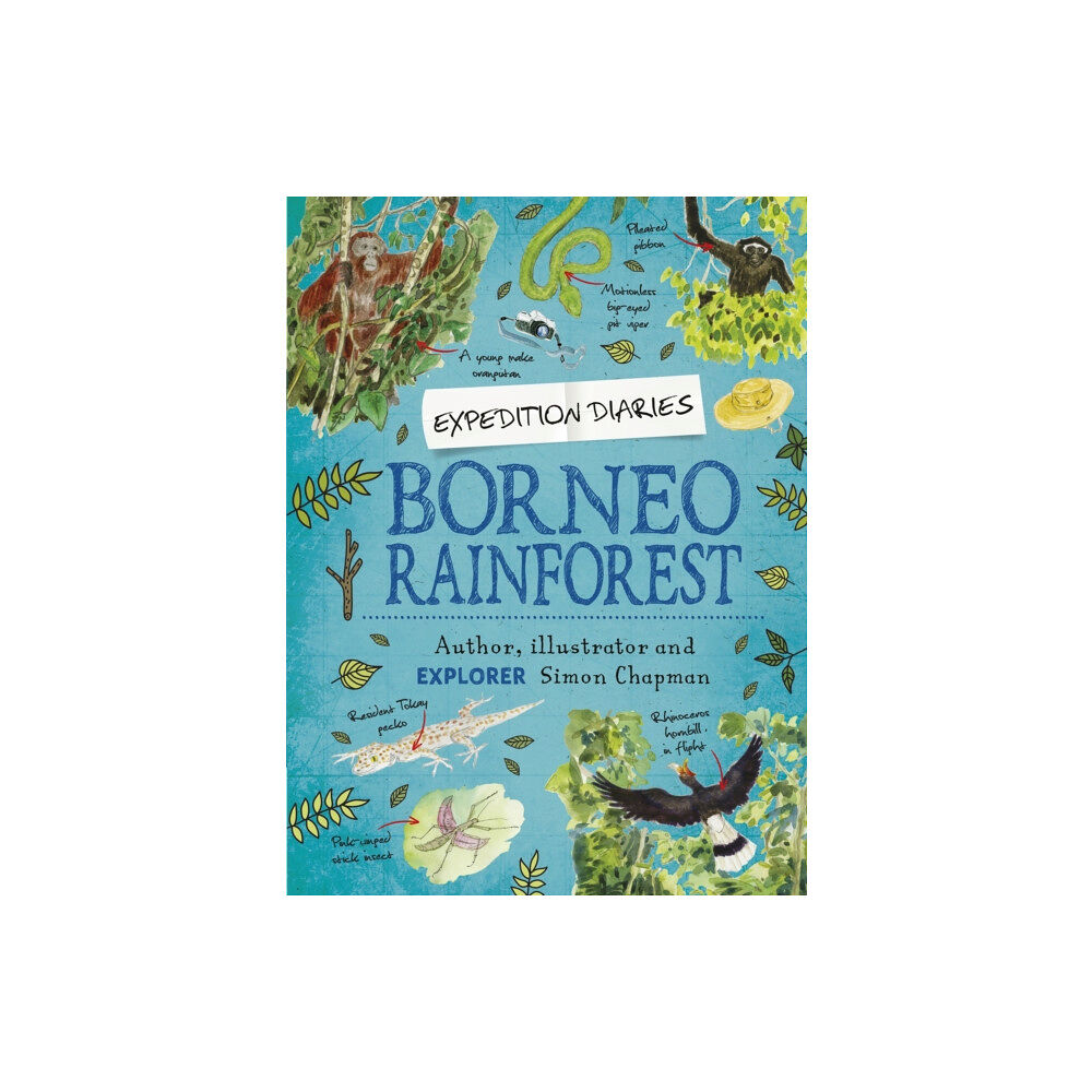 Hachette Children's Group Expedition Diaries: Borneo Rainforest (häftad, eng)