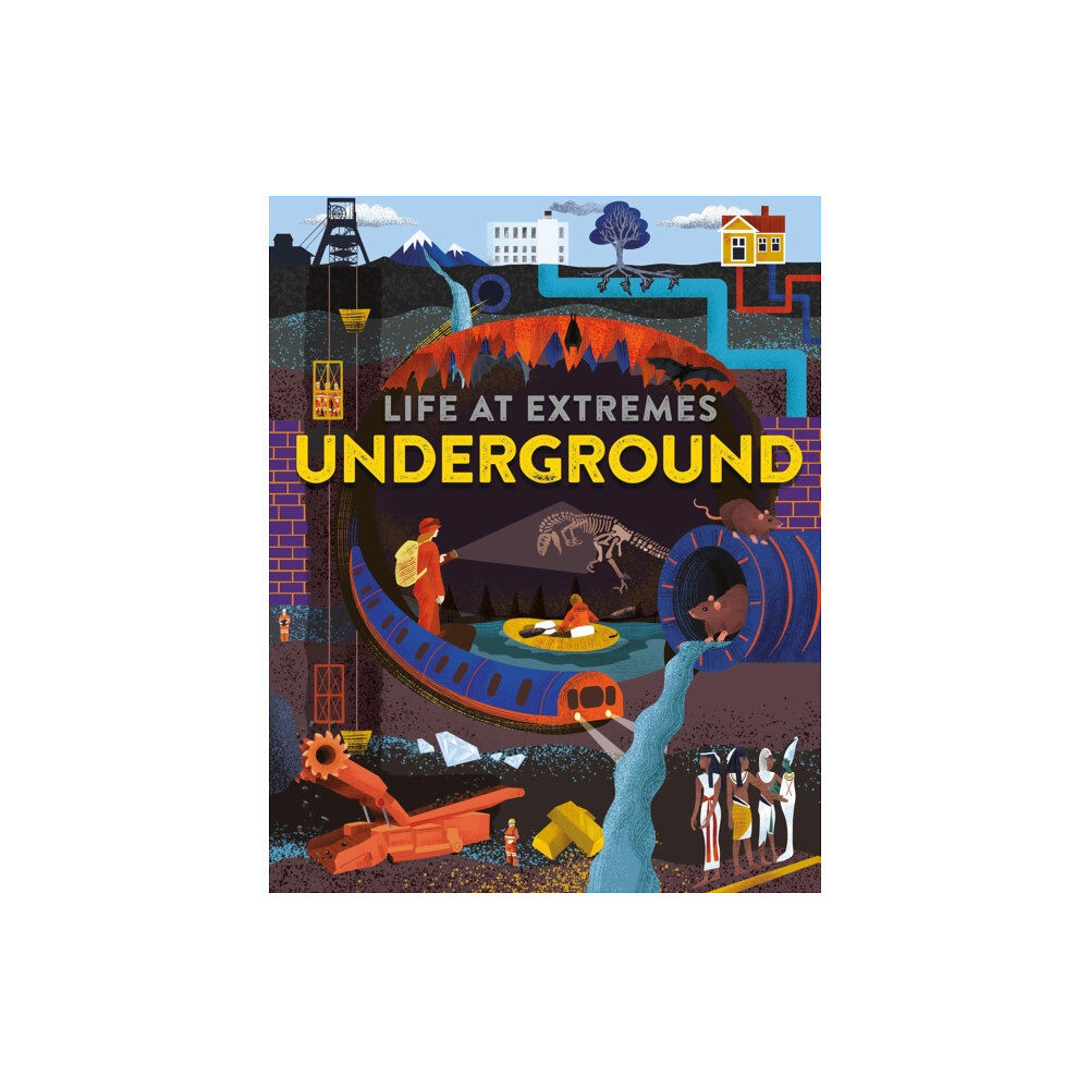 Hachette Children's Group Life at Extremes: Underground (häftad, eng)