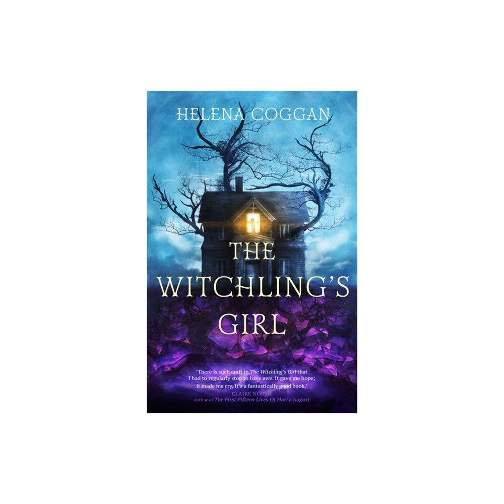 Hodder & Stoughton The Witchling's Girl (häftad, eng)