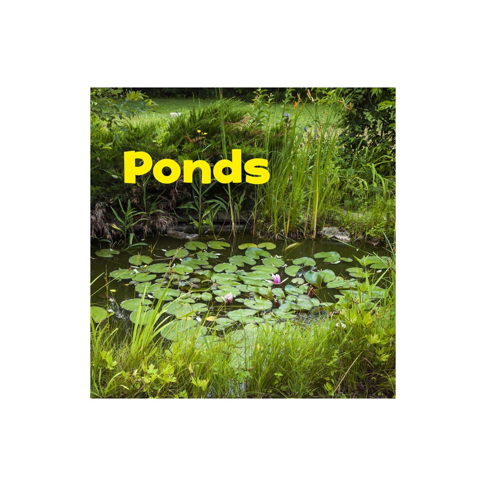 Capstone Global Library Ltd Ponds (häftad, eng)