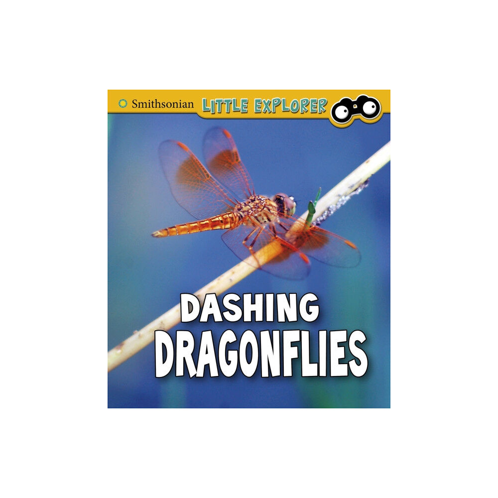 Capstone Global Library Ltd Dashing Dragonflies (inbunden, eng)