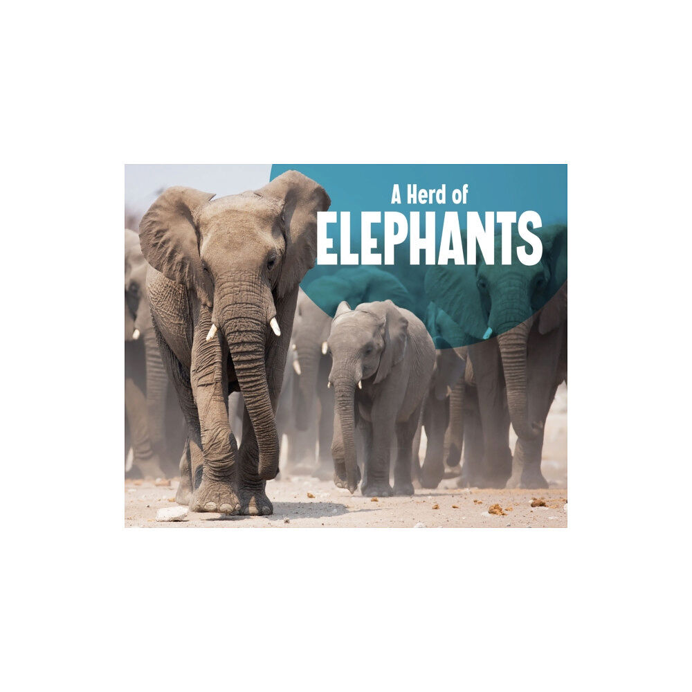 Capstone Global Library Ltd A Herd of Elephants (inbunden, eng)