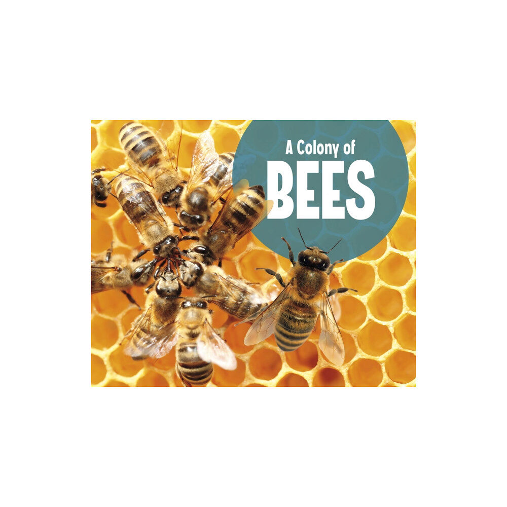 Capstone Global Library Ltd A Colony of Bees (häftad, eng)