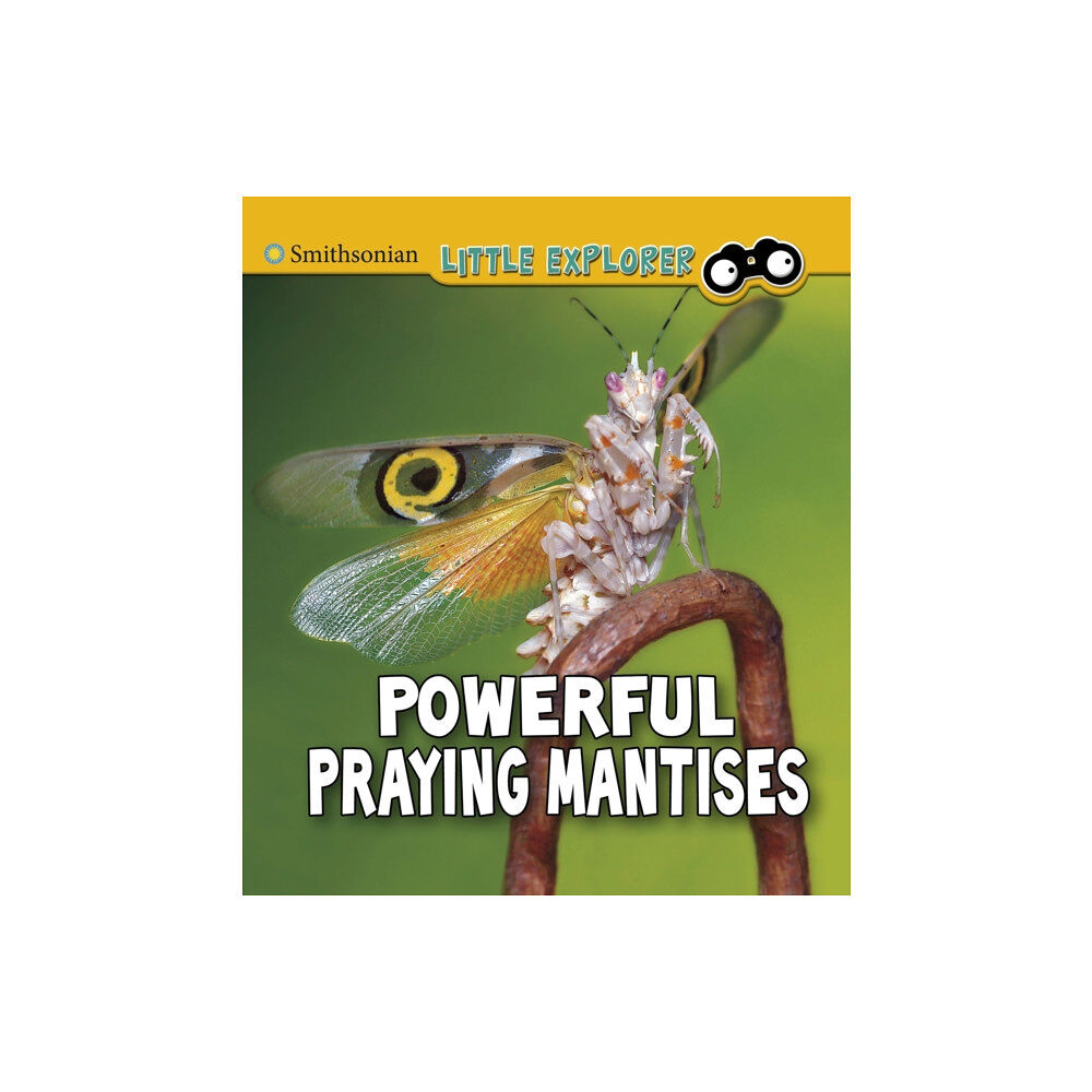 Capstone Global Library Ltd Powerful Praying Mantises (häftad, eng)