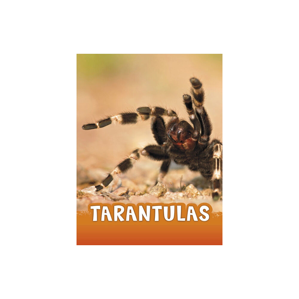 Capstone Global Library Ltd Tarantulas (inbunden, eng)