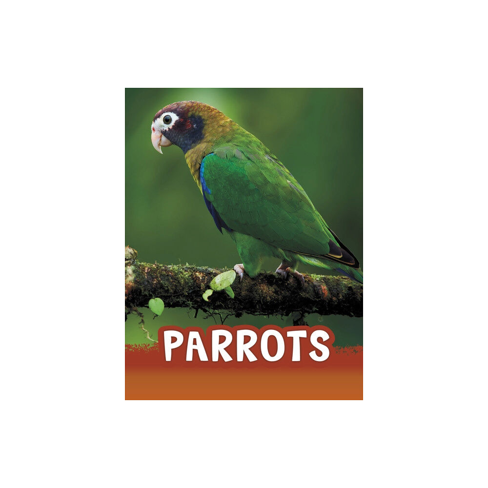 Capstone Global Library Ltd Parrots (häftad, eng)