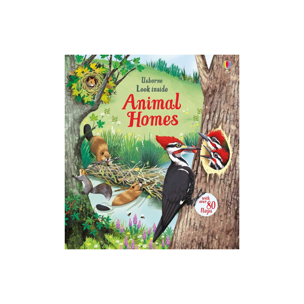 Usborne Publishing Ltd Look Inside Animal Homes (bok, board book, eng)