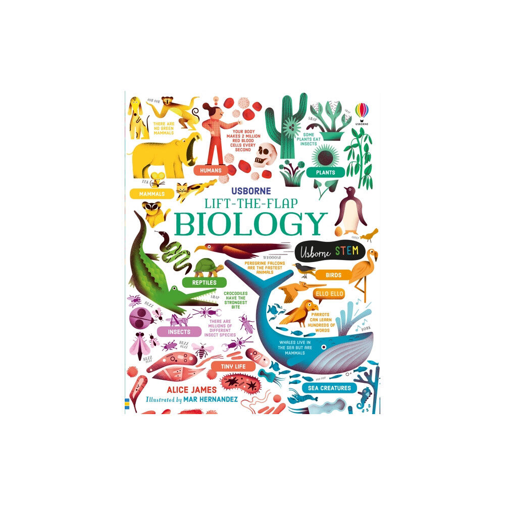 Usborne Publishing Ltd Lift-the-Flap Biology (bok, board book, eng)