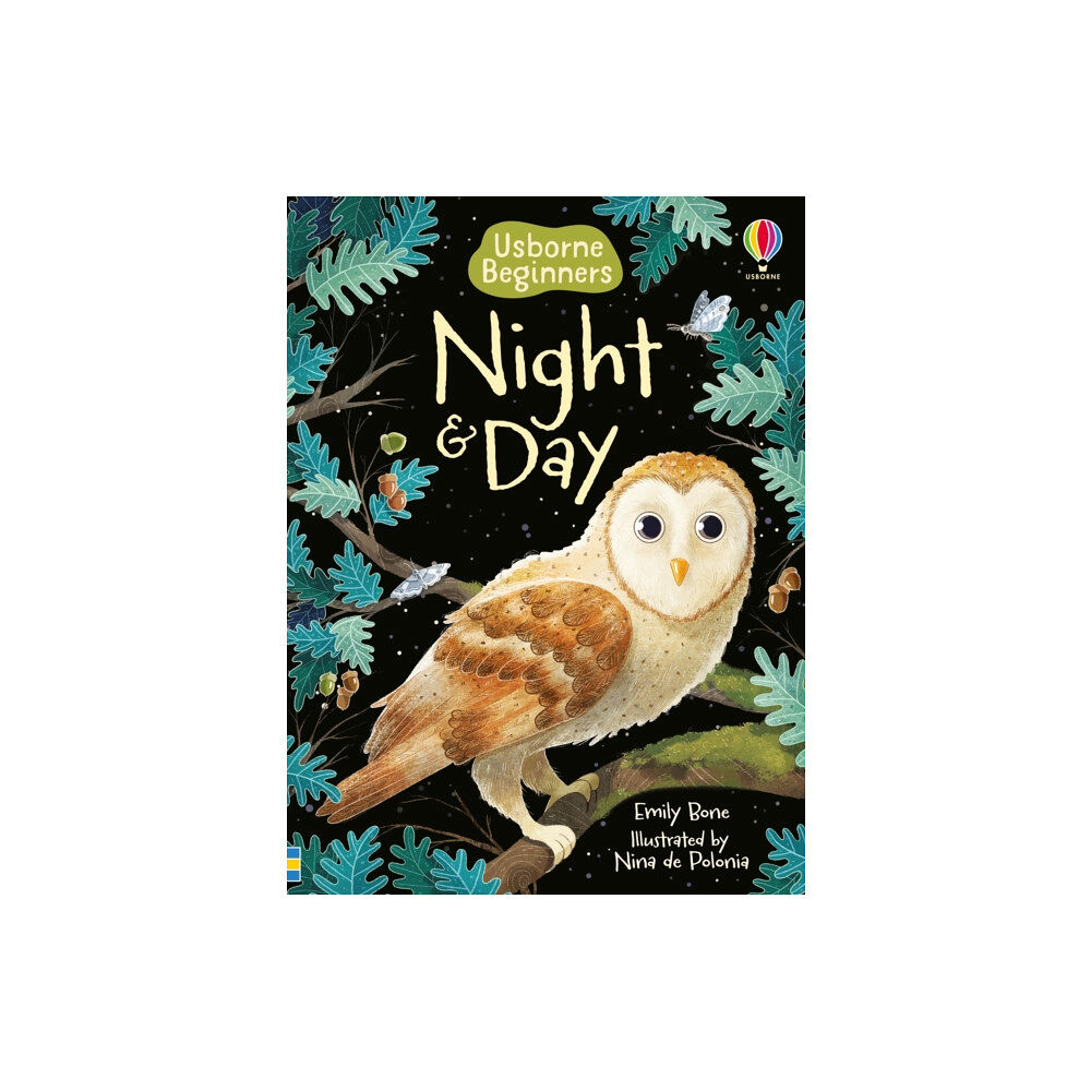 Usborne Publishing Ltd Night and Day (inbunden, eng)