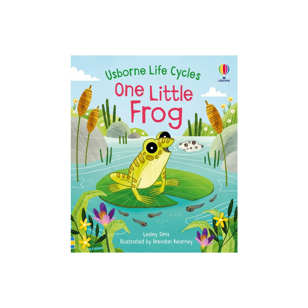 Usborne Publishing Ltd One Little Frog (bok, board book, eng)