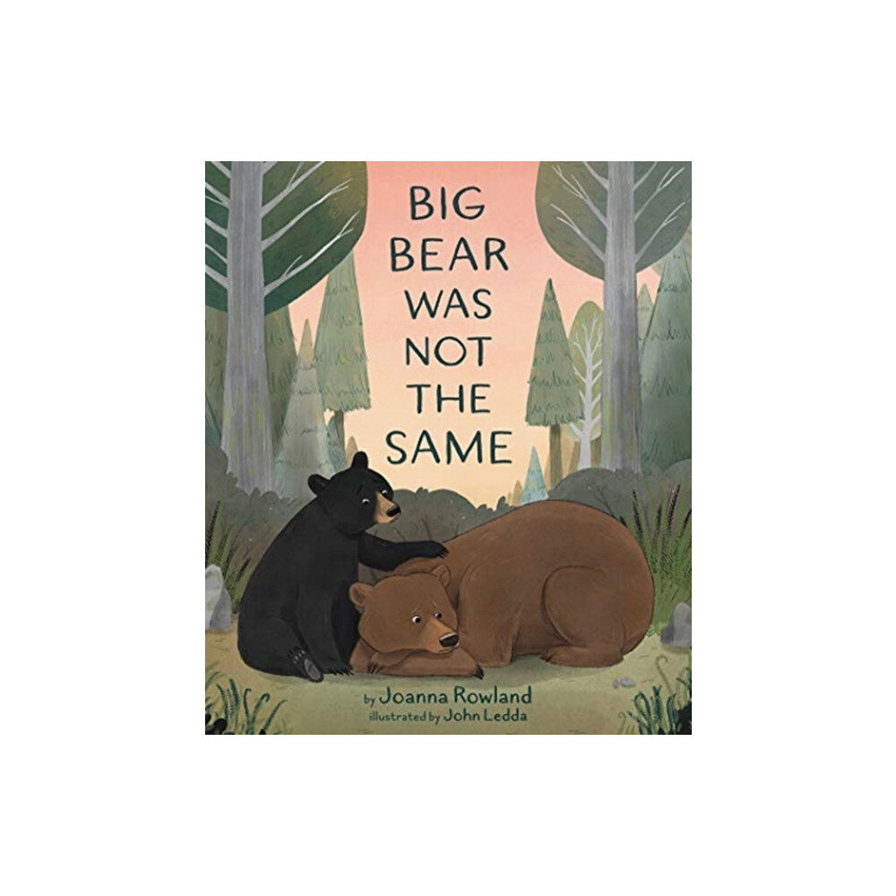 Augsburg Fortress Publishers Big Bear Was Not the Same (inbunden, eng)