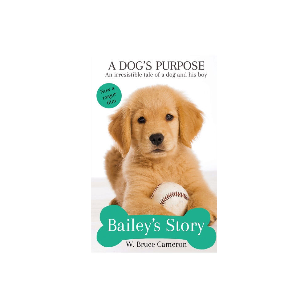 Pan Macmillan Bailey's Story (häftad, eng)