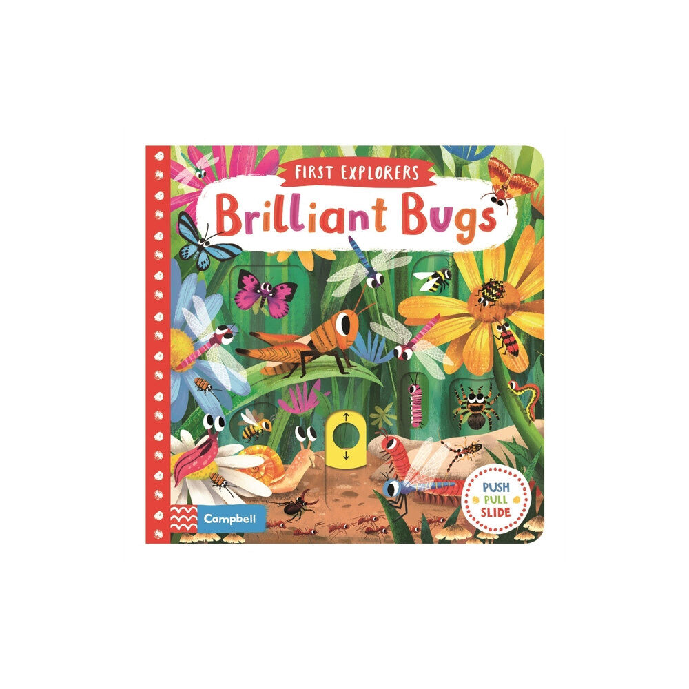Pan Macmillan Brilliant Bugs (bok, board book, eng)