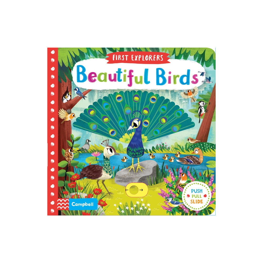 Pan Macmillan Beautiful Birds (bok, board book, eng)