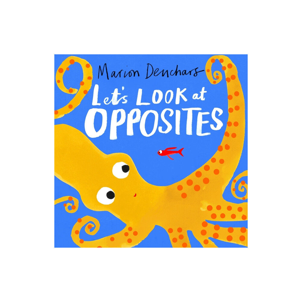 Hachette Children's Group Let's Look at... Opposites (bok, board book, eng)