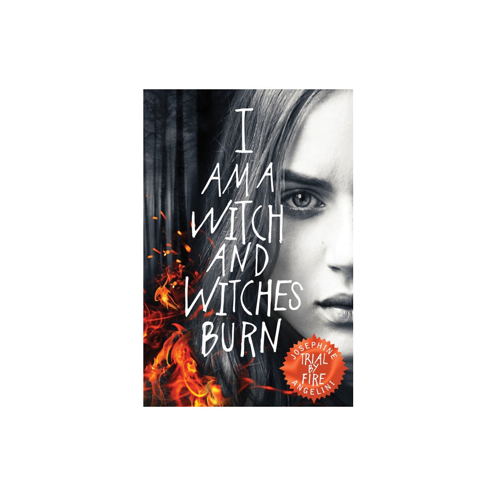 Pan Macmillan Trial By Fire (häftad, eng)