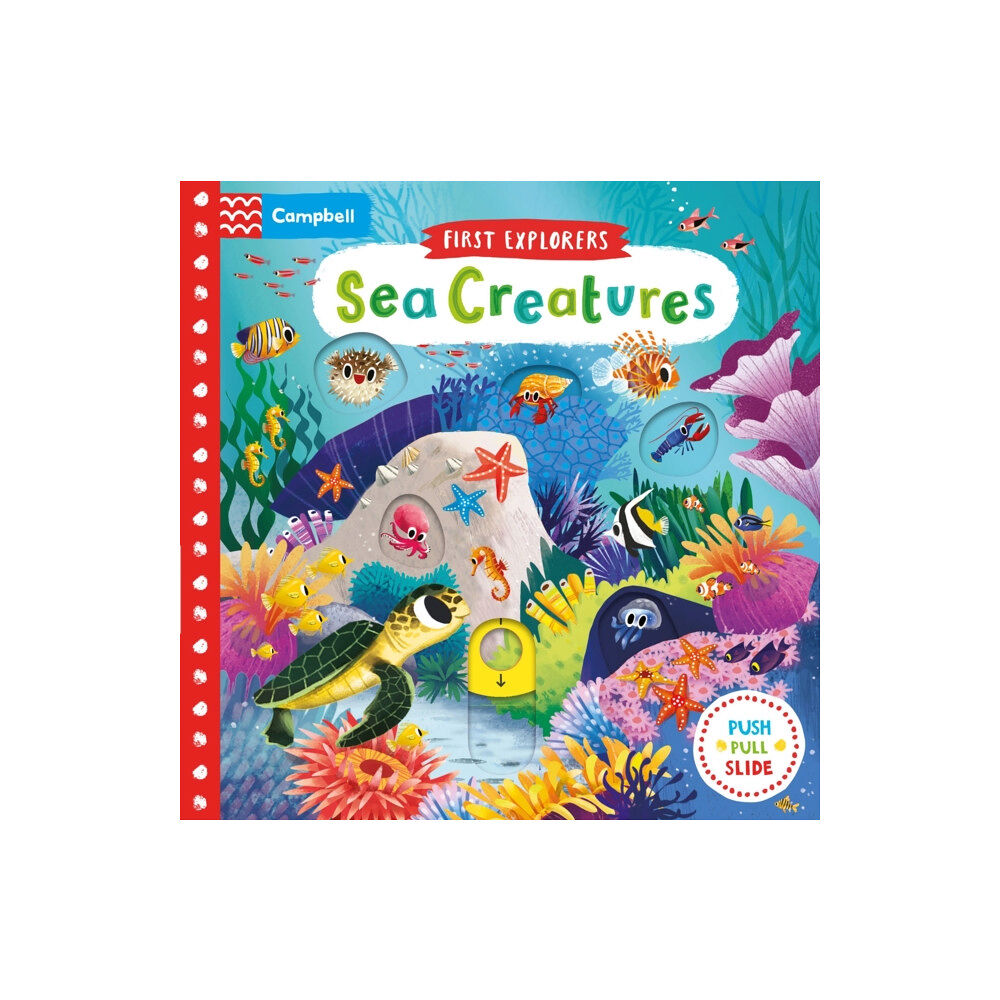 Pan Macmillan Sea Creatures (bok, board book, eng)
