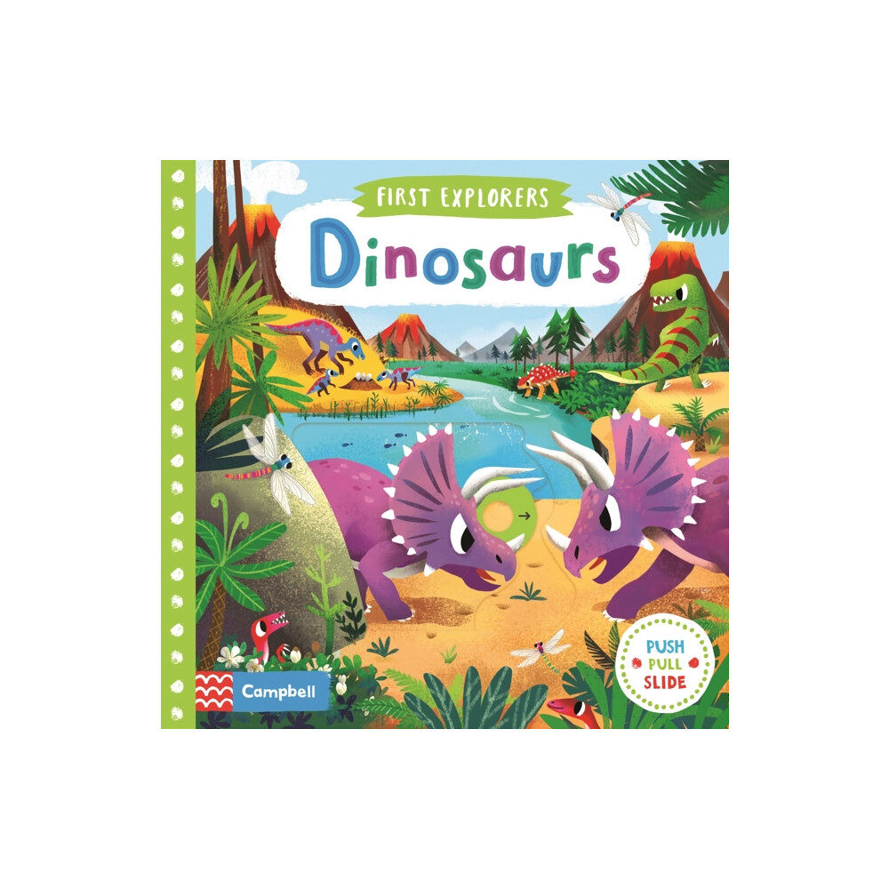 Pan Macmillan Dinosaurs (bok, board book, eng)