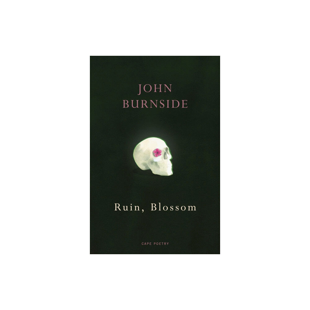 Vintage Publishing Ruin, Blossom (häftad, eng)