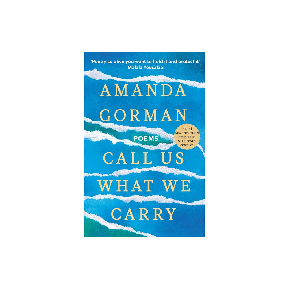 Vintage Publishing Call Us What We Carry (häftad, eng)