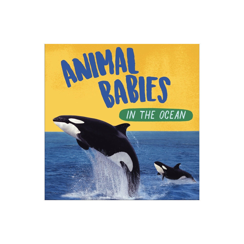 Hachette Children's Group Animal Babies: In the Ocean (häftad, eng)