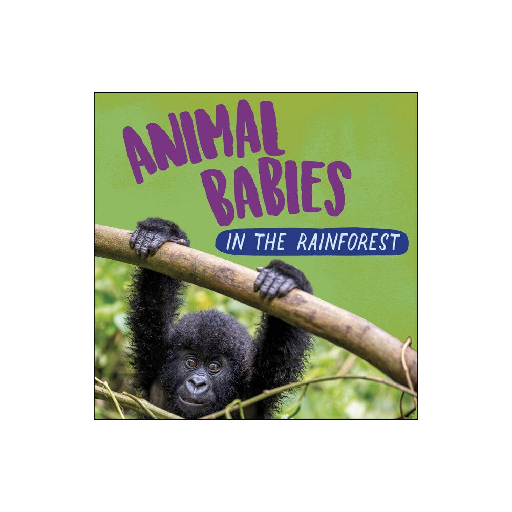 Hachette Children's Group Animal Babies: In the Rainforest (inbunden, eng)