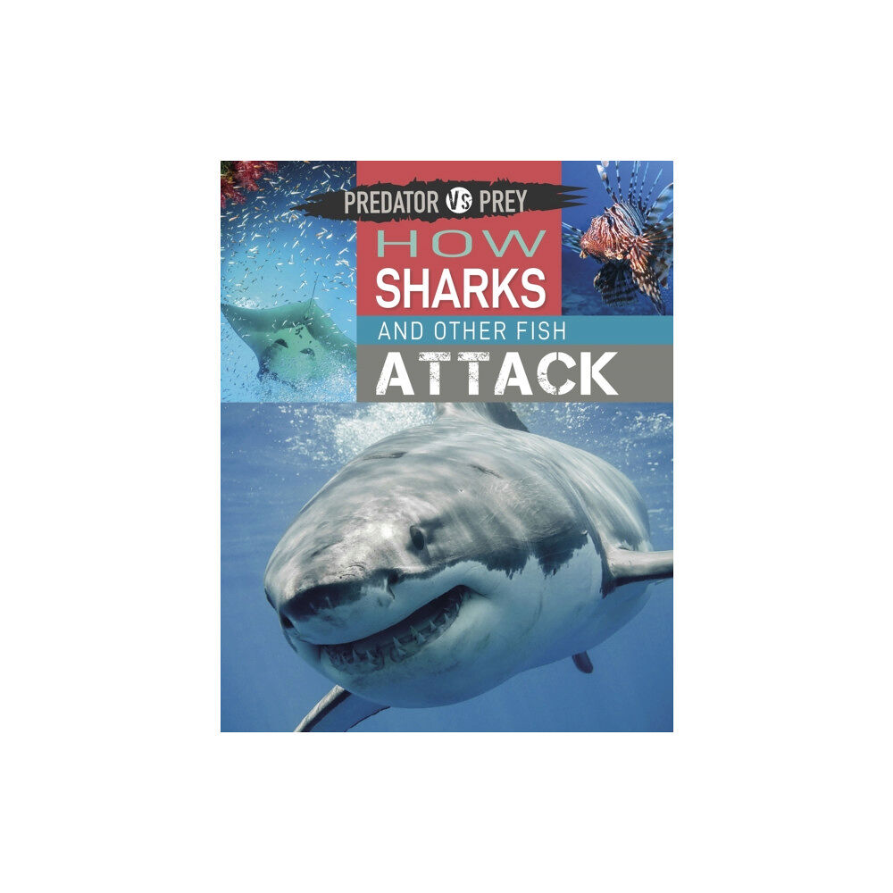 Hachette Children's Group Predator vs Prey: How Sharks and other Fish Attack (häftad, eng)