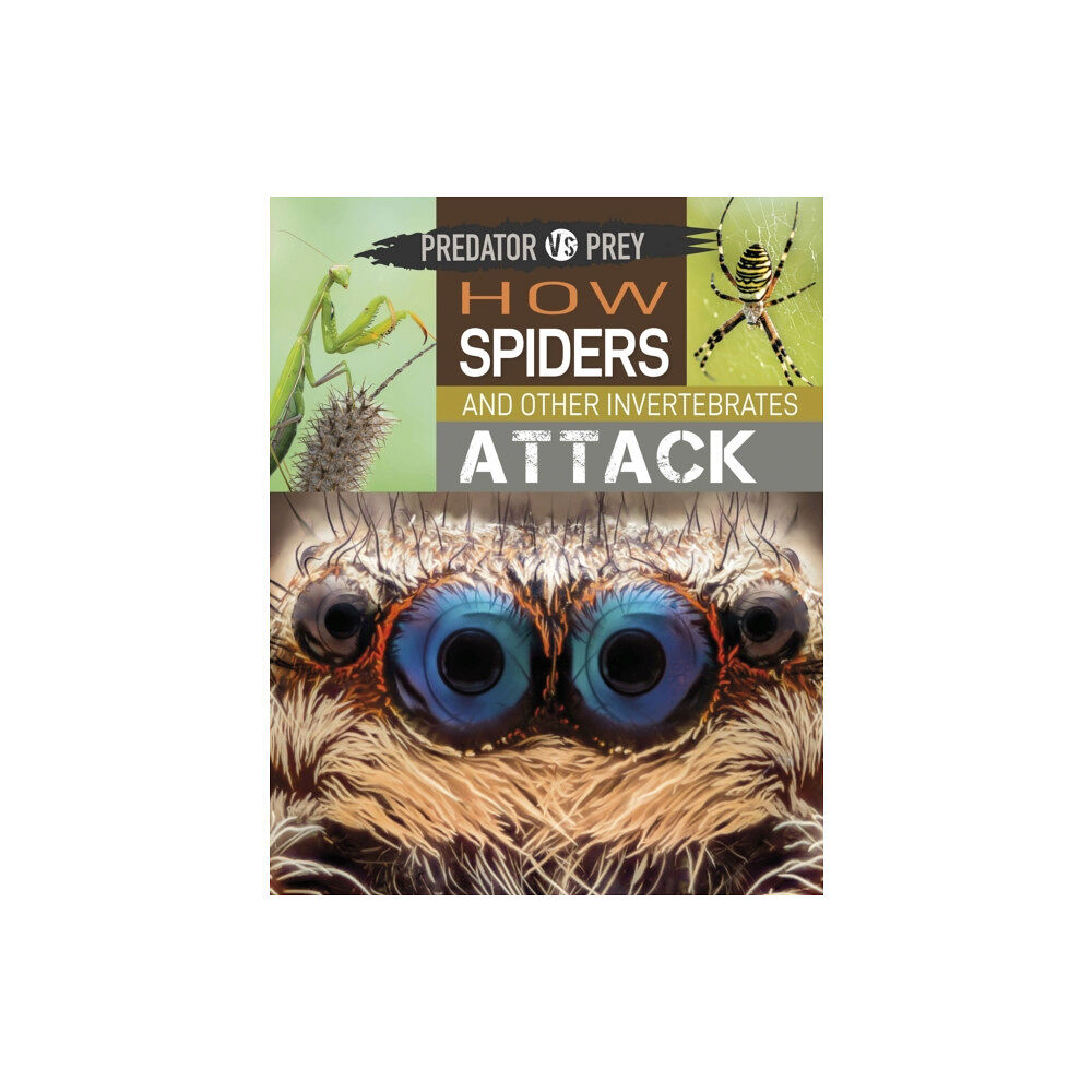 Hachette Children's Group Predator vs Prey: How Spiders and other Invertebrates Attack (häftad, eng)