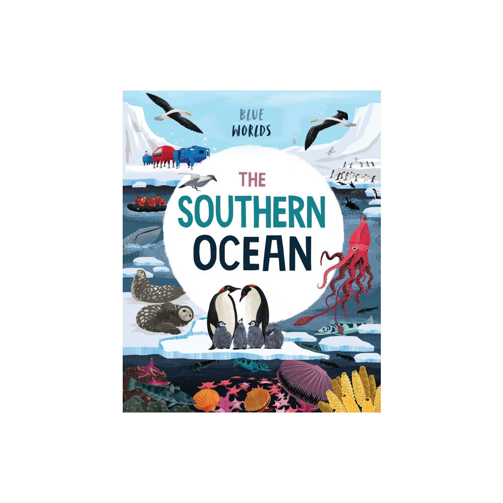 Hachette Children's Group Blue Worlds: The Southern Ocean (häftad, eng)