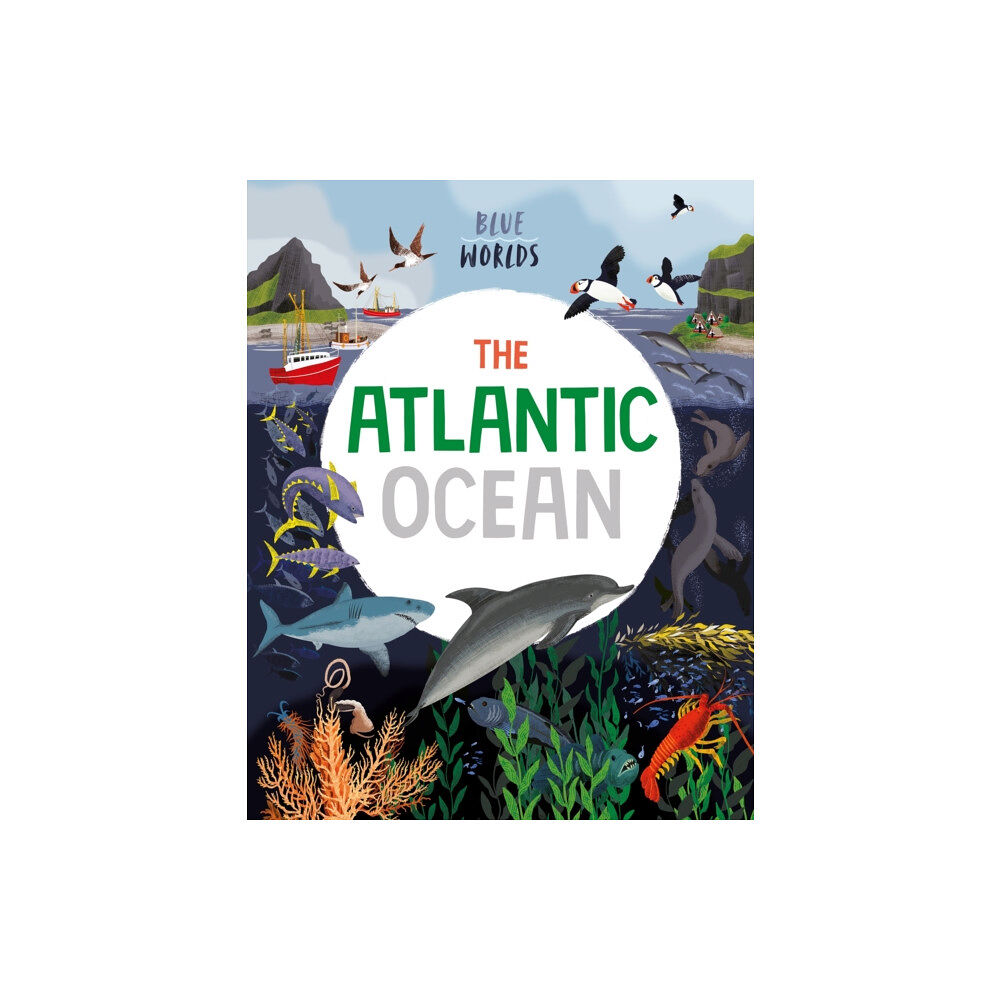 Hachette Children's Group Blue Worlds: The Atlantic Ocean (häftad, eng)