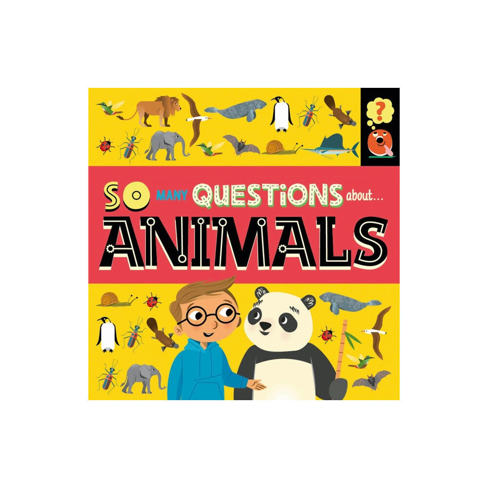 Hachette Children's Group So Many Questions: About Animals (häftad, eng)