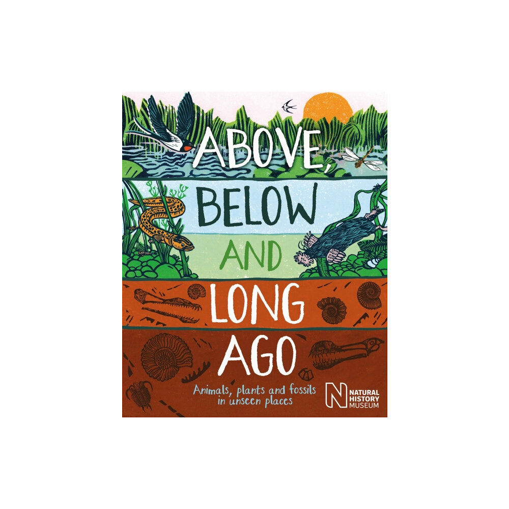 Hachette Children's Group Above, Below and Long Ago (häftad, eng)