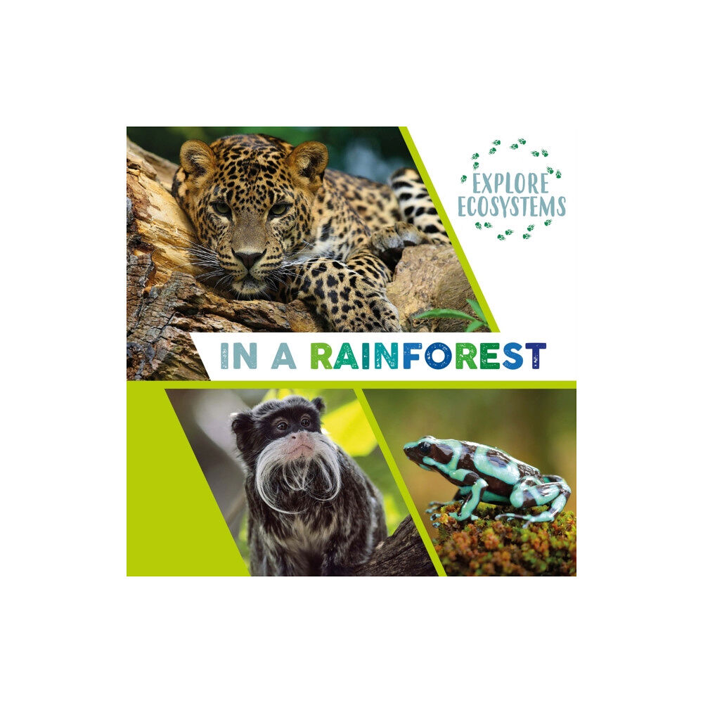 Hachette Children's Group Explore Ecosystems: In a Rainforest (häftad, eng)