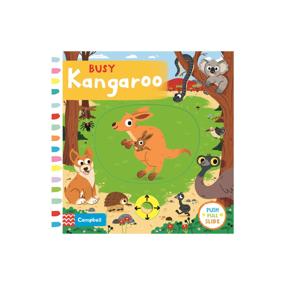 Pan Macmillan Busy Kangaroo (bok, board book, eng)