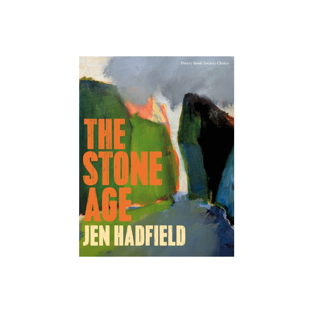 Pan Macmillan The Stone Age (häftad, eng)