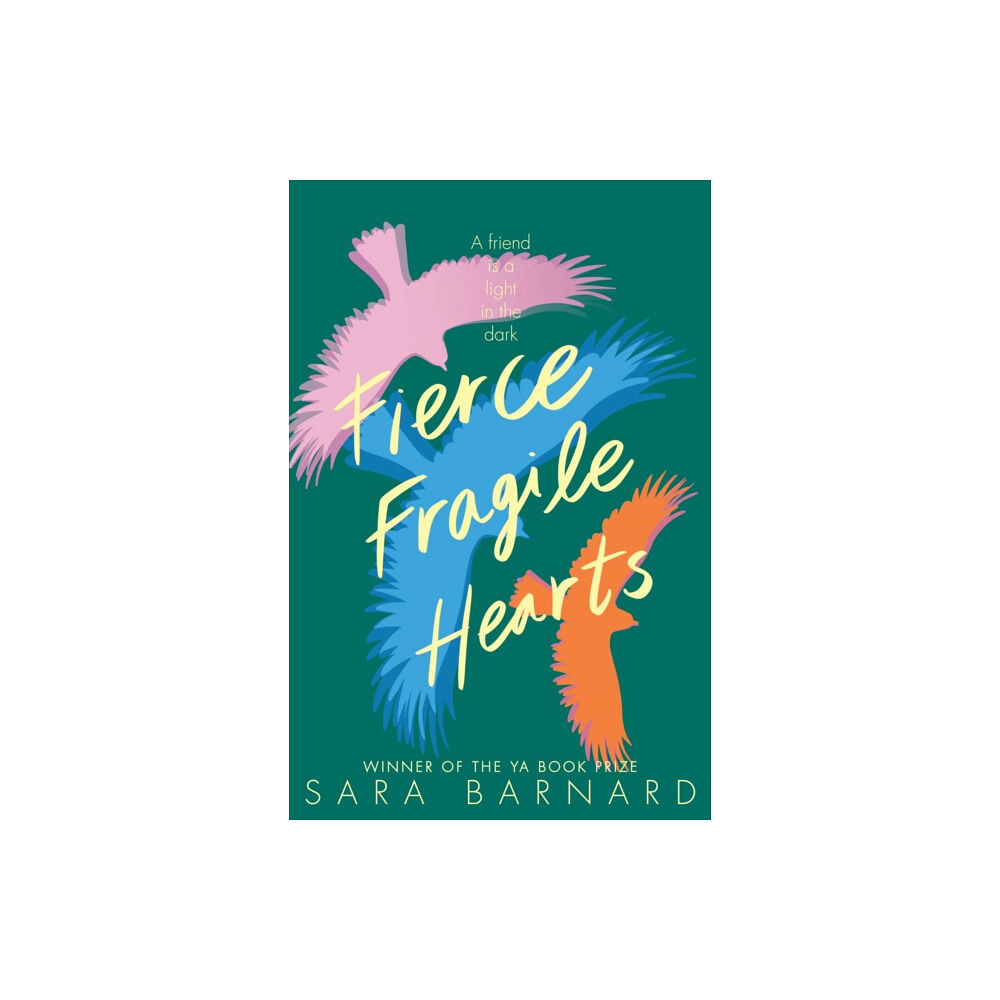 Pan Macmillan Fierce Fragile Hearts (häftad, eng)