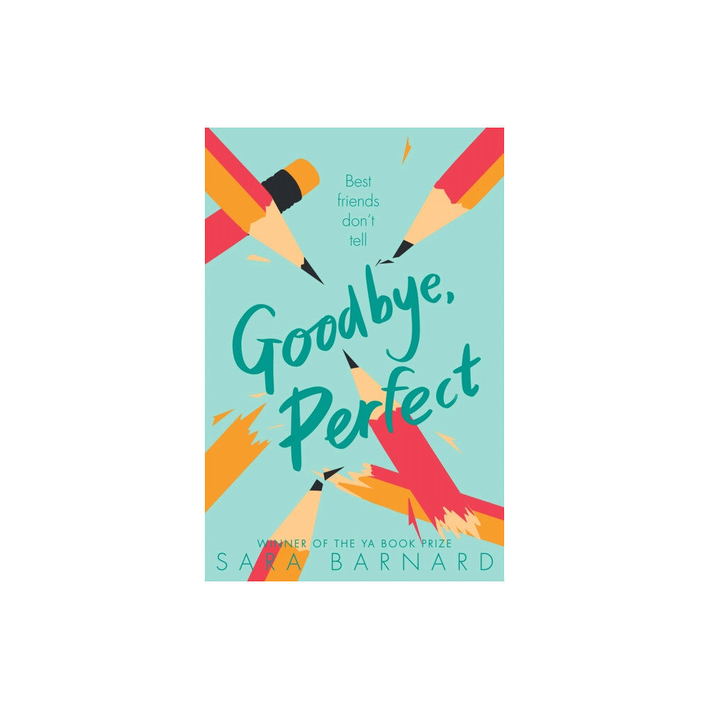 Pan Macmillan Goodbye, Perfect (häftad, eng)